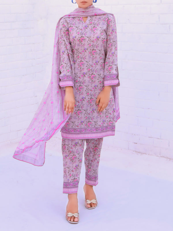 Stitched 3 Piece Printed Cambric Suit Annafeu Apparels