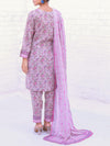 Stitched 3 Piece Printed Cambric Suit Annafeu Apparels