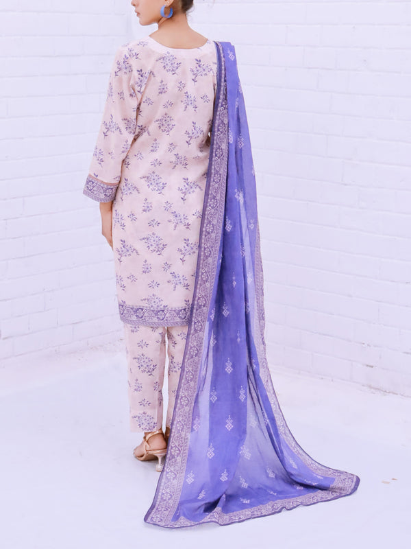 Stitched 3 Piece Printed Cambric Suit Annafeu Apparels