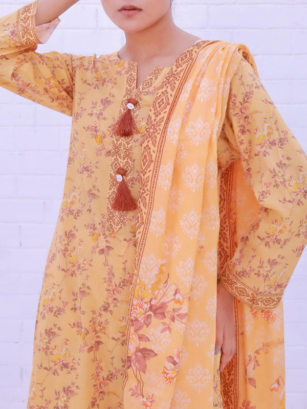 Stitched 3 Piece Printed Cambric Suit Annafeu Apparels