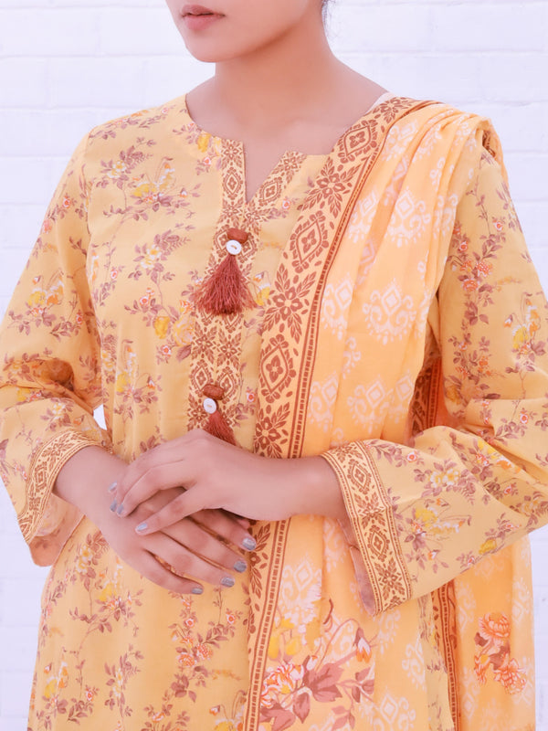 Stitched 3 Piece Printed Cambric Suit Annafeu Apparels