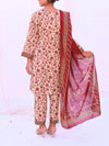 Stitched 3 Piece Printed Cambric Suit Annafeu Apparels
