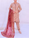 Stitched 3 Piece Printed Cambric Suit Annafeu Apparels