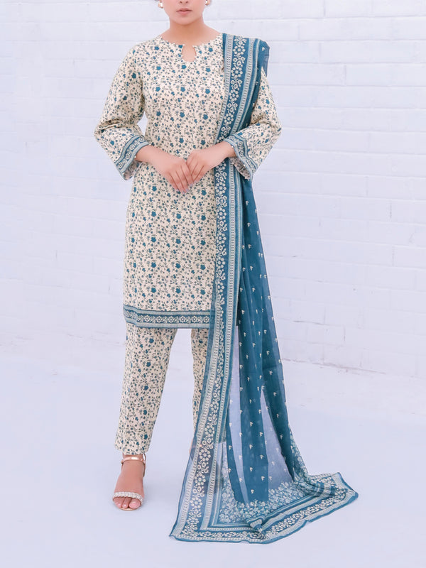 Stitched 3 Piece Printed Cambric Suit Annafeu Apparels