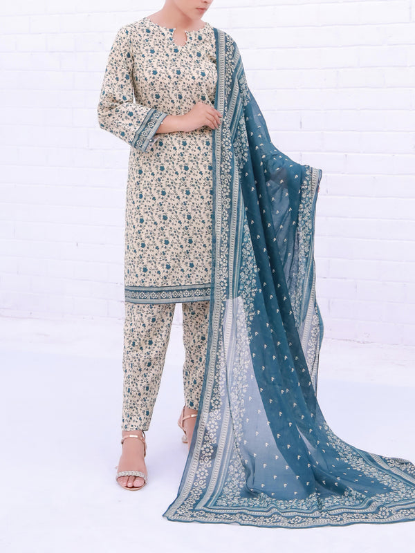 Stitched 3 Piece Printed Cambric Suit Annafeu Apparels