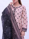 Stitched 3 Piece Printed Lawn Suit Annafeu Apparels