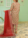 3 Piece Printed Lawn Suit (ILV04-3PC-008) Annafeu Apparels