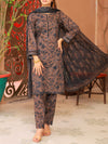 Stitched 3 Piece Printed Lawn Suit Annafeu Apparels